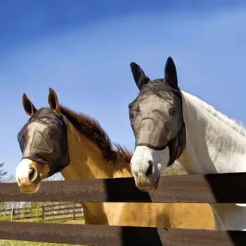 Discount Absorbine UltraShield Fly Mask - Avec Et Sans Oreilles - Masque Anti-Insectes