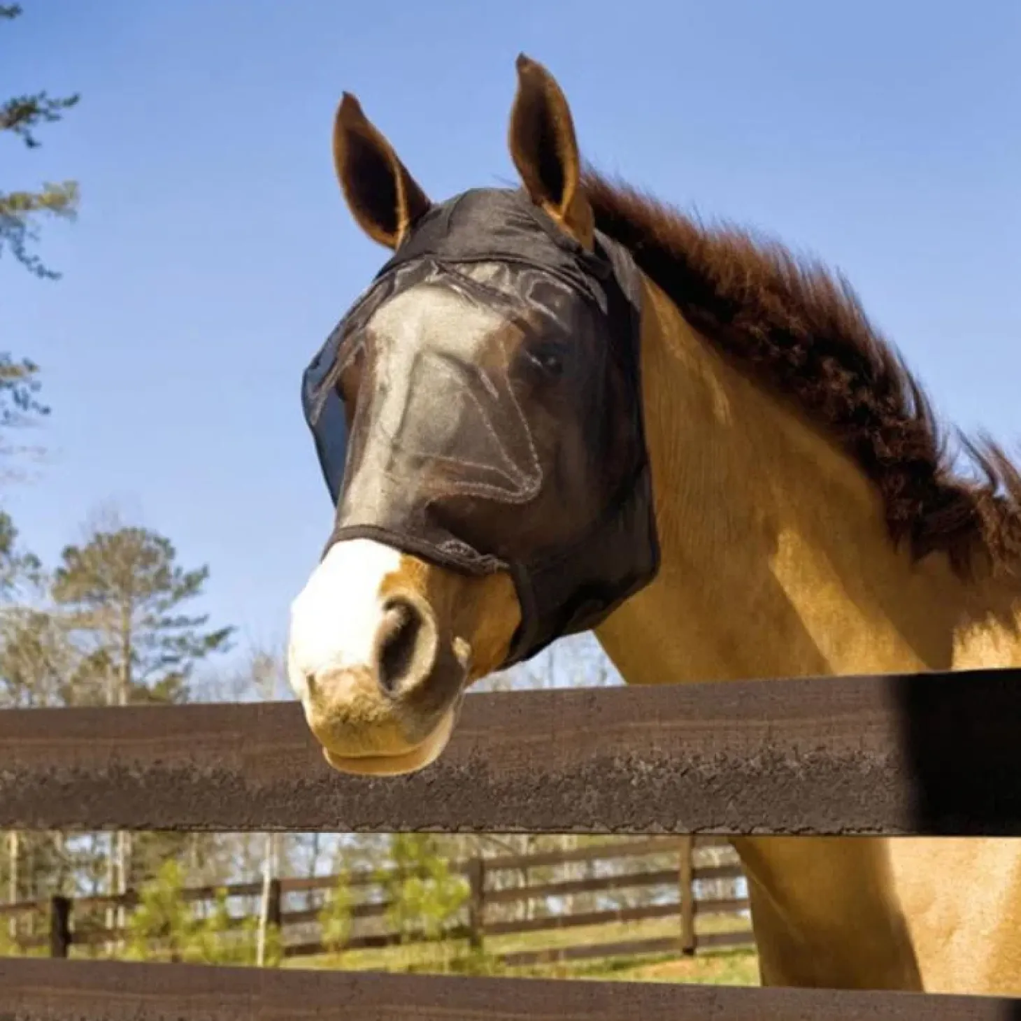 absorbine-ultrashield-fly-mask-xsZXdmCH-1.webp Discount Absorbine UltraShield Fly Mask - Avec Et Sans Oreilles - Masque Anti-Insectes