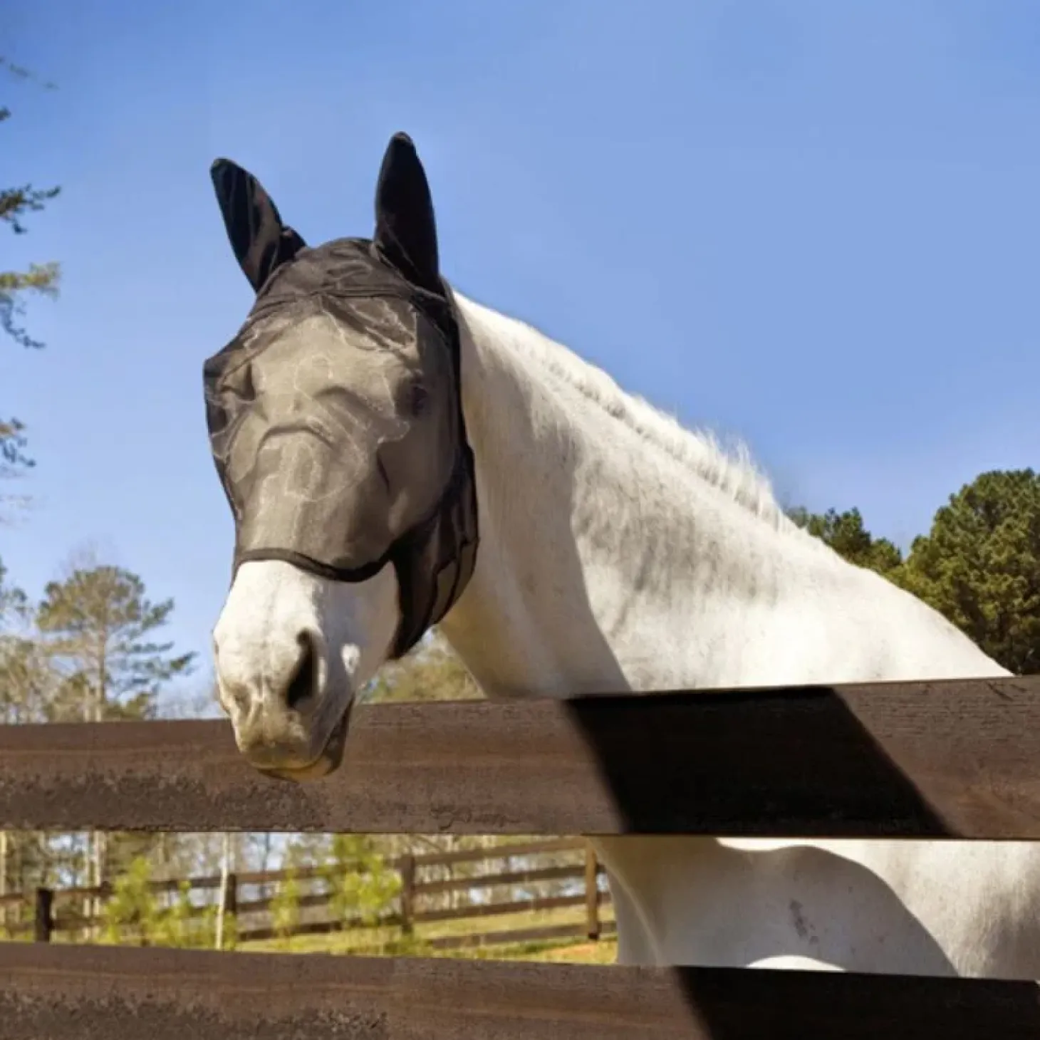 absorbine-ultrashield-fly-mask-xsZXdmCH-2.webp Discount Absorbine UltraShield Fly Mask - Avec Et Sans Oreilles - Masque Anti-Insectes