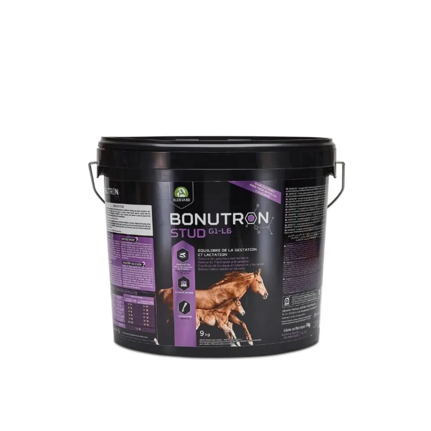 audevard-bonutron-stud-g1-l6-KbXUuYXN-0.webp Fashion Audevard Bonutron Stud G1-L6