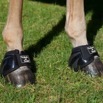 Sale Back On Track Cloches Royal Performance