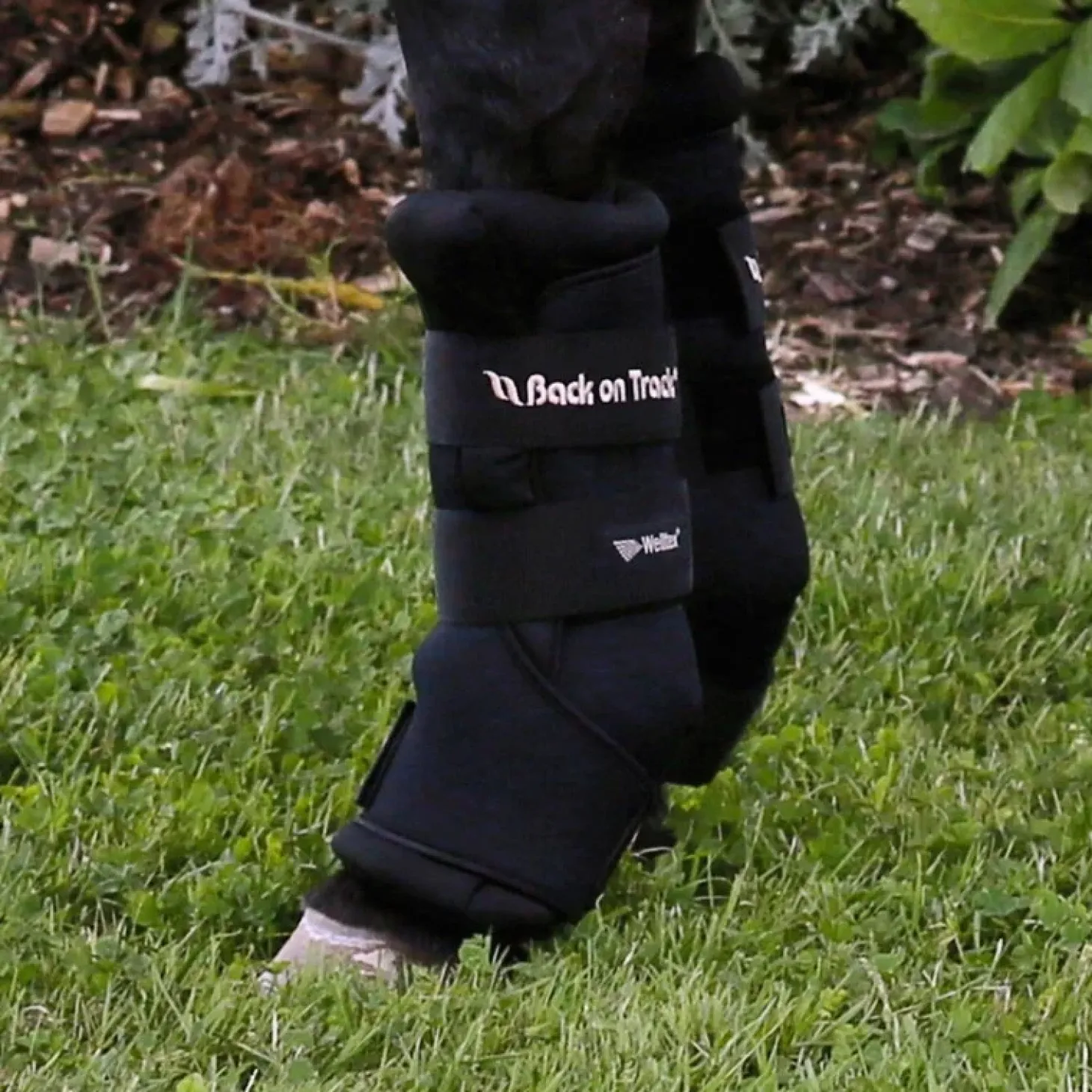 back-on-track-couche-noprne-ex-fYuPnWUu-1.webp Clearance Back On Track Couche Néoprène Extérieure