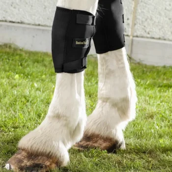Clearance Back On Track Genouillère Droite Cheval