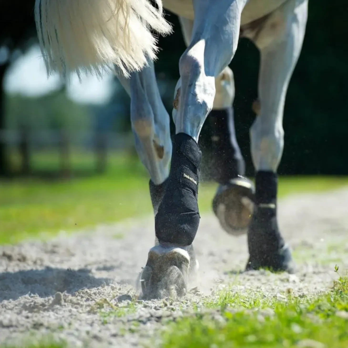 back-on-track-gutres-travail-c-izIPWDfn-2.webp Online Back On Track Guêtres Travail Cheval Noir