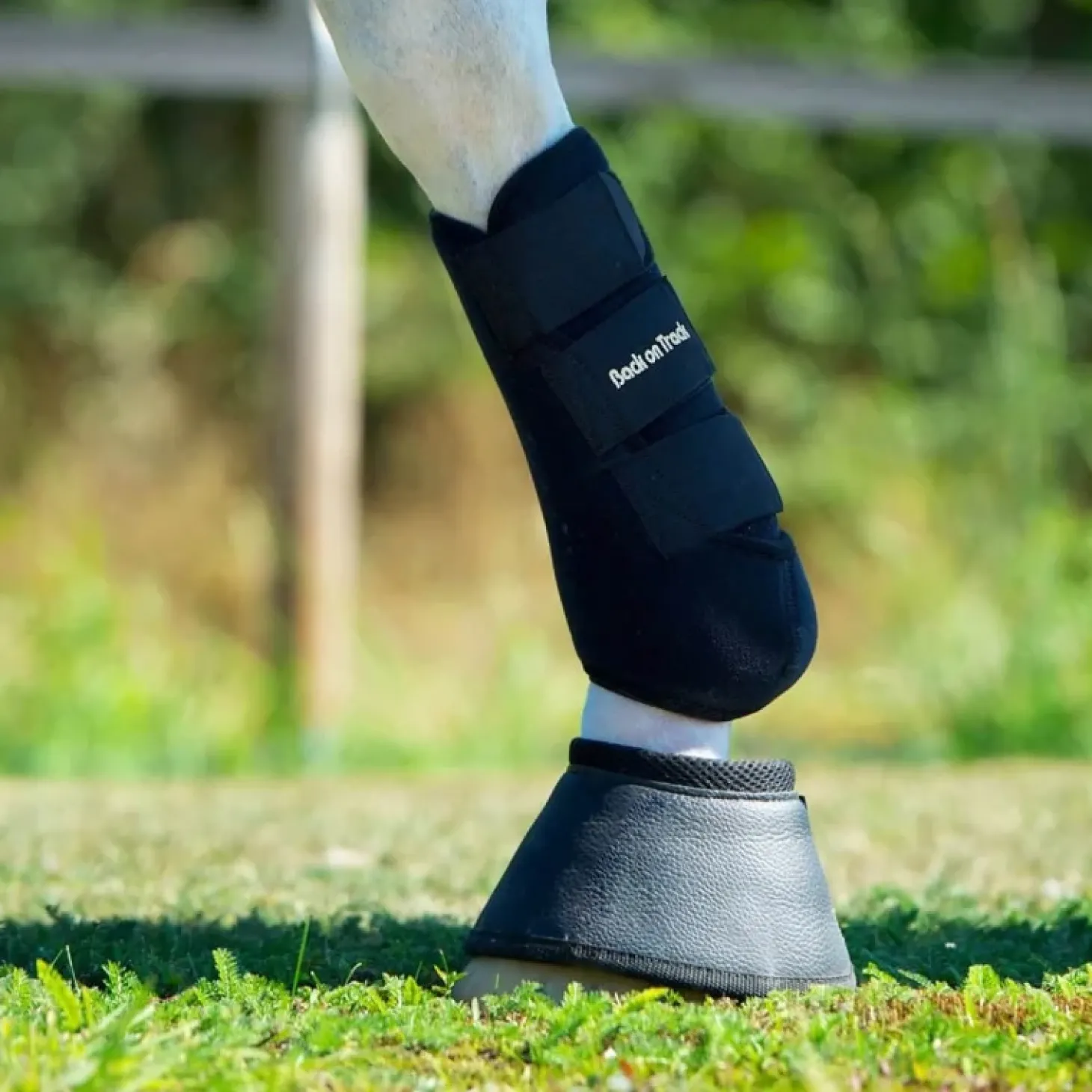 back-on-track-gutres-travail-c-izIPWDfn-3.webp Online Back On Track Guêtres Travail Cheval Noir