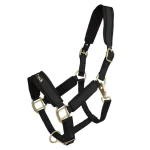 Discount Back On Track Licol Werano Noir