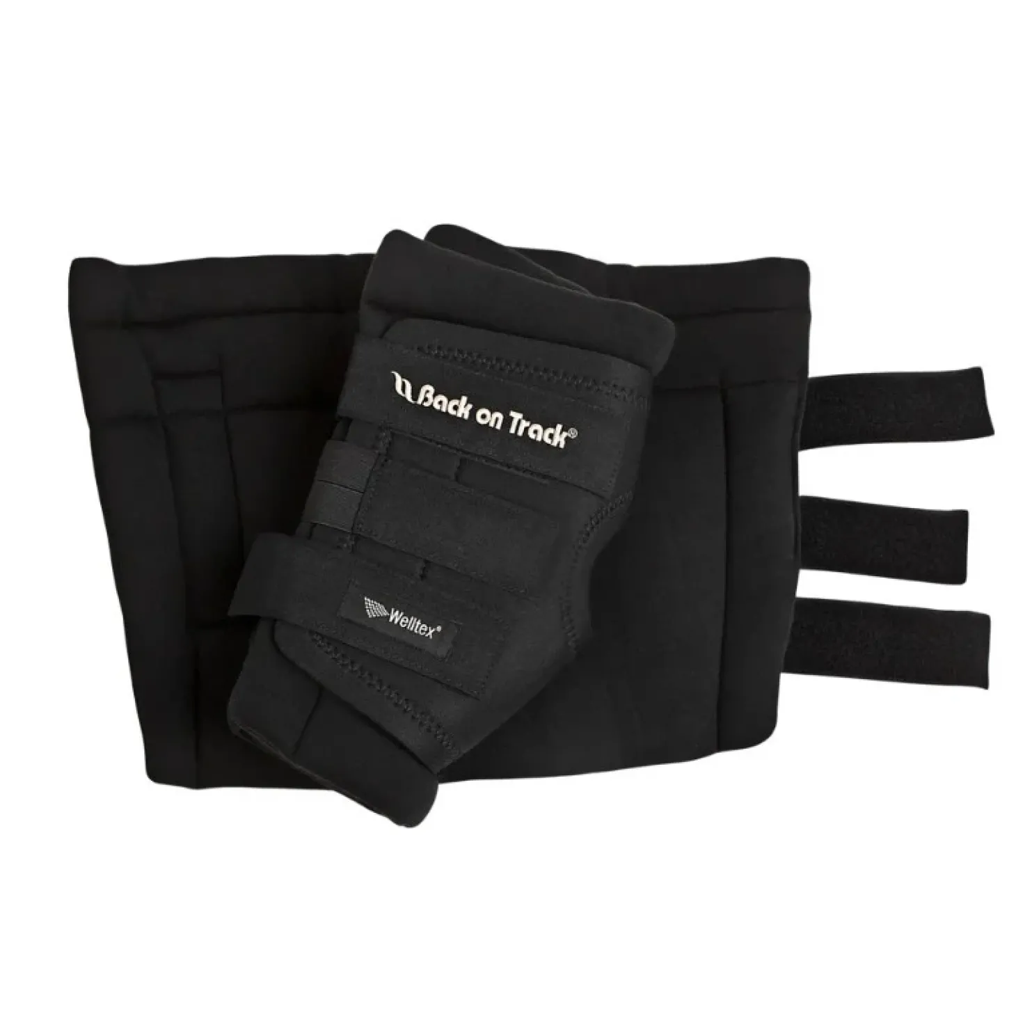 back-on-track-protege-jarret-c-VxjQAFRk-1.webp New Back On Track Protege Jarret Cheval Royal