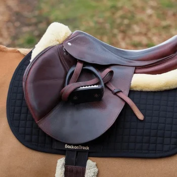 Online Back On Track Tapis De Selle