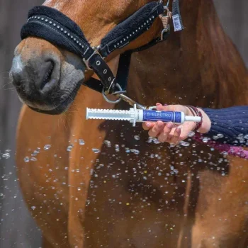 Online Bleu-Roy B-Electro Compact