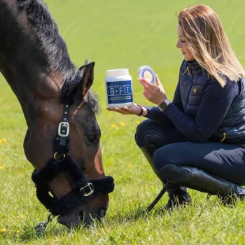 Fashion Bleu-Roy B-Fit