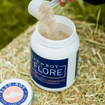 Discount Bleu-Roy B-Flore