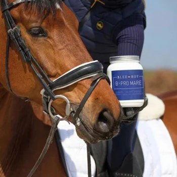 Best Bleu-Roy B-Pro Mare