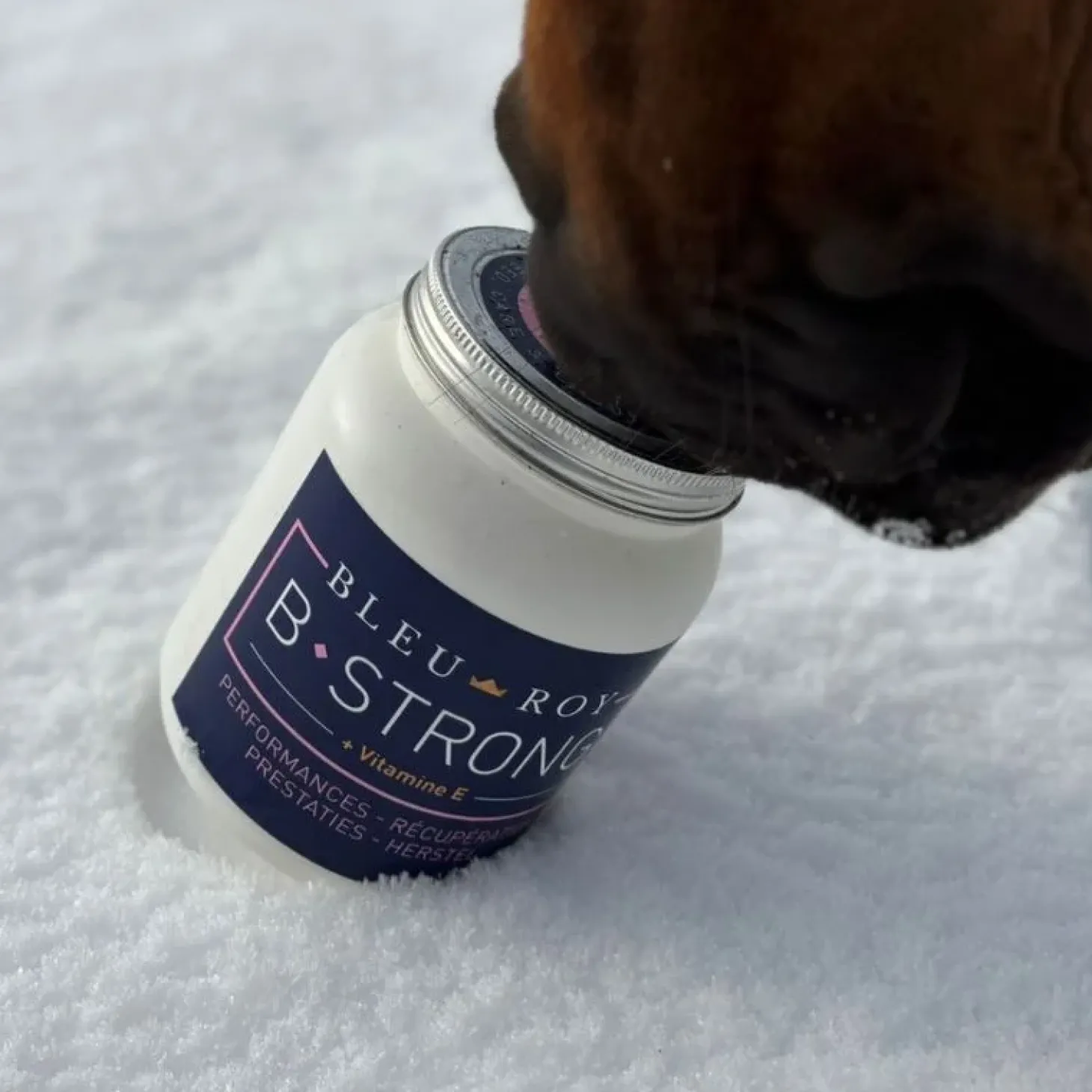 bleu-roy-b-strong-ldjboqPl-2.webp Outlet Bleu-Roy B-Strong