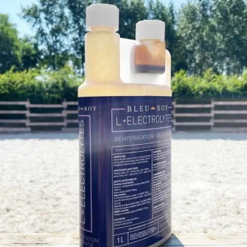 Online Bleu-Roy L-Electrolytes