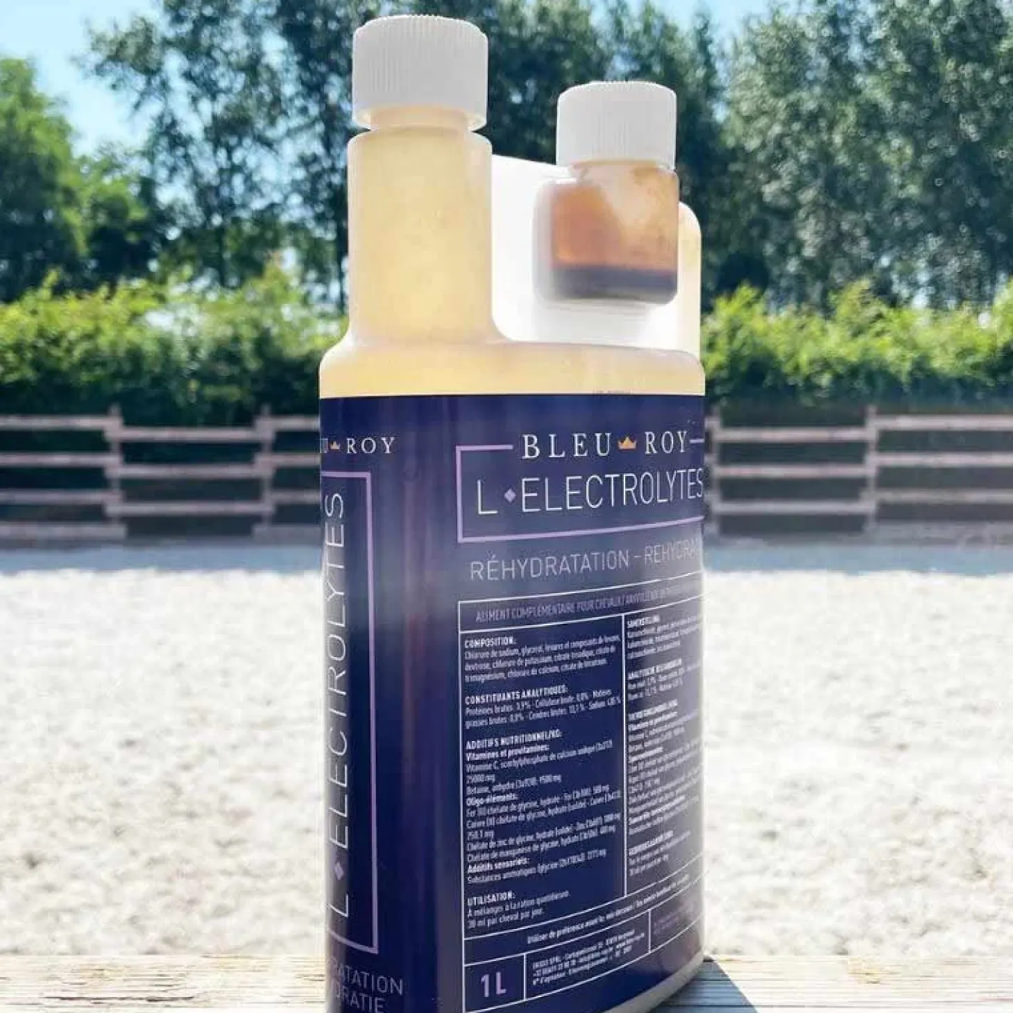 bleu-roy-l-electrolytes-KKctmaBR-1.webp Online Bleu-Roy L-Electrolytes