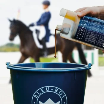 Discount Bleu-Roy L-Focus