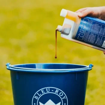 Discount Bleu-Roy L-Senior