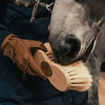 Online Borstiq Farm Borstiq Brosse Douce Cactus Crins Infini