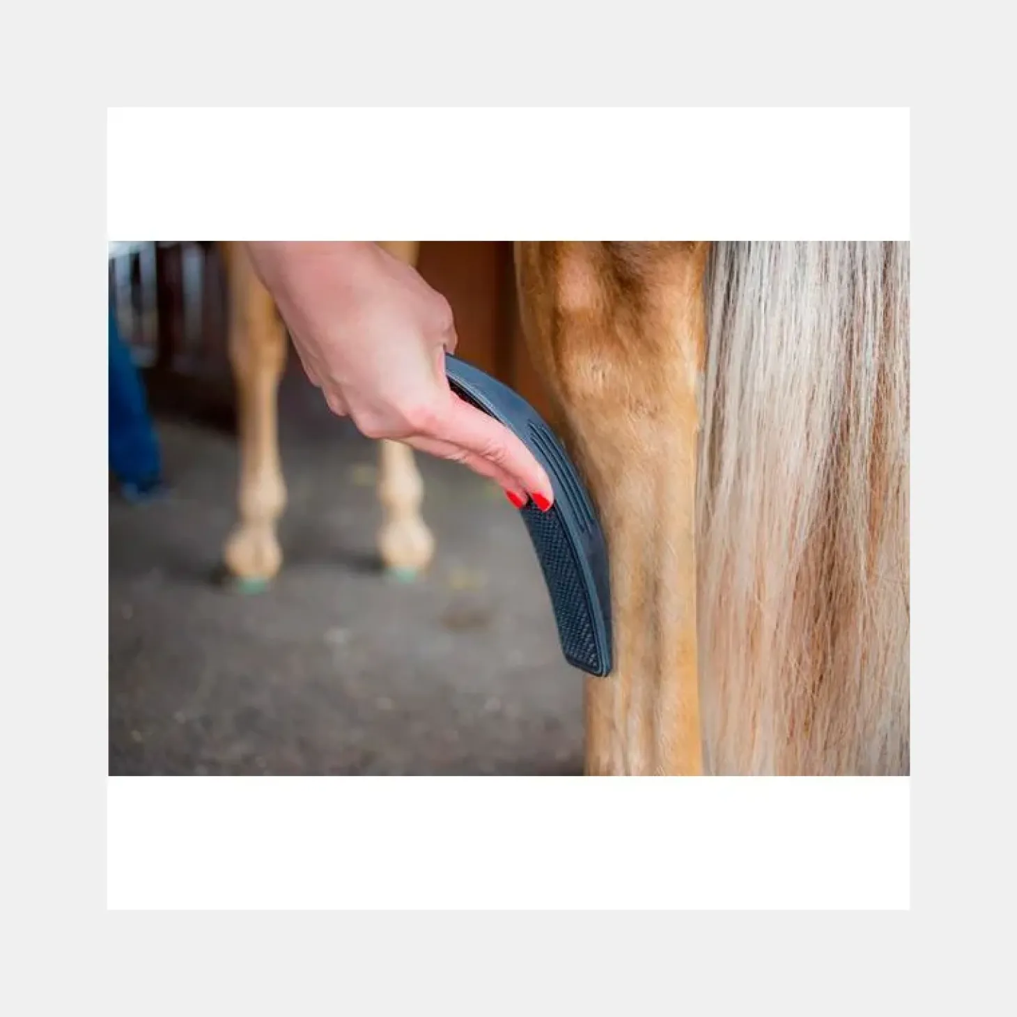 brosse-gentle-groomer-bettys-b-ggpIcxqt-6.webp New Betty's Best Brosse Gentle Groomer