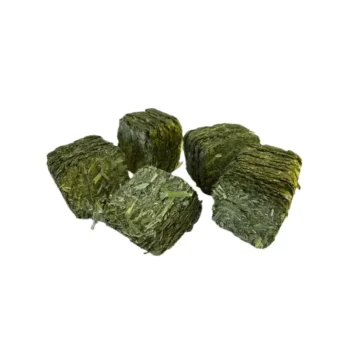 Best CGP Horse Feed Wafer Forte Performance