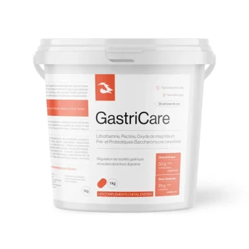 Discount Cheval Energy - Les Complements Cheval Energy GastriCare