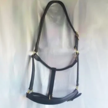 Sale Cheval Energy - Les Equipements Cheval Energy Licol En Cuir - Noir