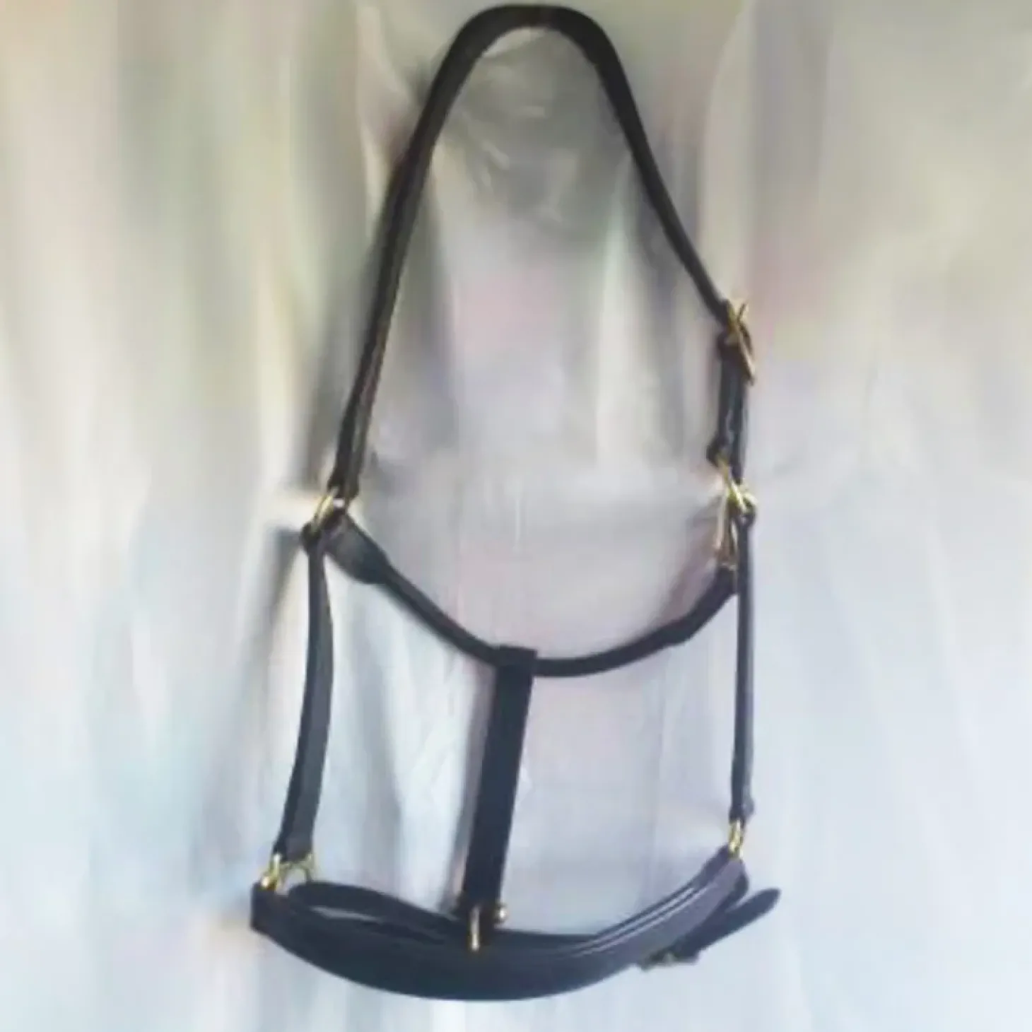 cheval-energy-licol-en-cuir-PlwoDTIK-0.webp Sale Cheval Energy - Les Equipements Cheval Energy Licol En Cuir - Noir