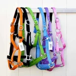 Clearance Cheval Energy - Les Equipements Cheval Energy Licol En Nylon - Noir