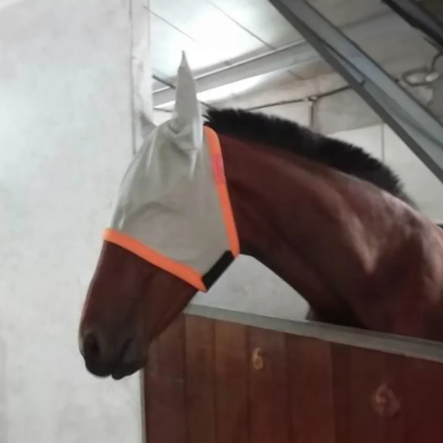 cheval-energy-masque-anti-mouc-ANZyniSP-0.webp Discount Cheval Energy - Les Equipements Cheval Energy Masque Anti-Mouches Avec Oreilles - Blanc / Orange