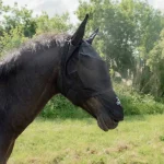Fashion Cheval Energy - Les Equipements Cheval Energy Masque Anti Mouche Avec Noseband