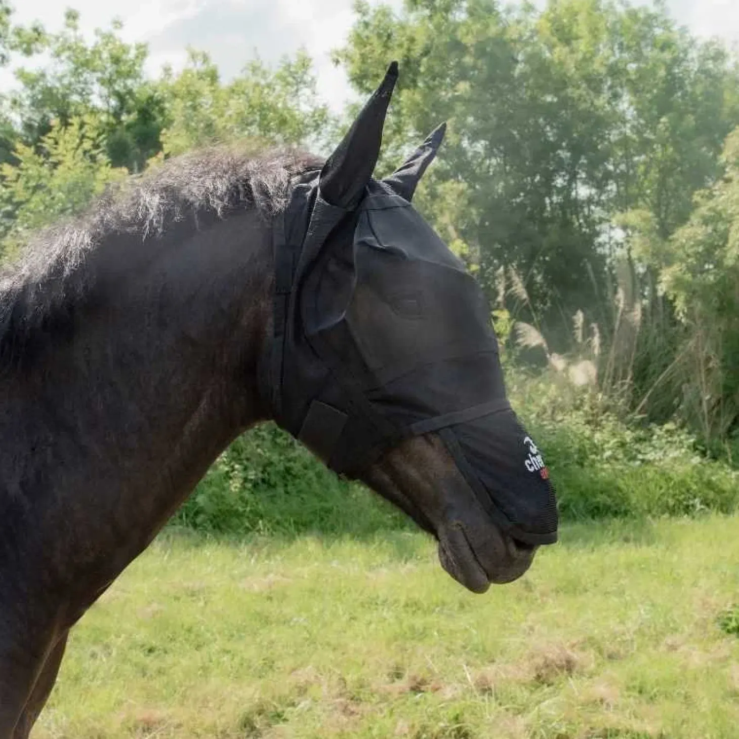 cheval-energy-masque-anti-mouc-PhhCNqIv-0.webp Fashion Cheval Energy - Les Equipements Cheval Energy Masque Anti Mouche Avec Noseband