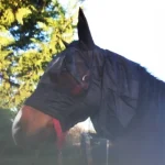 Online Cheval Energy - Les Equipements Cheval Energy Masque Anti-Mouches Avec Oreilles