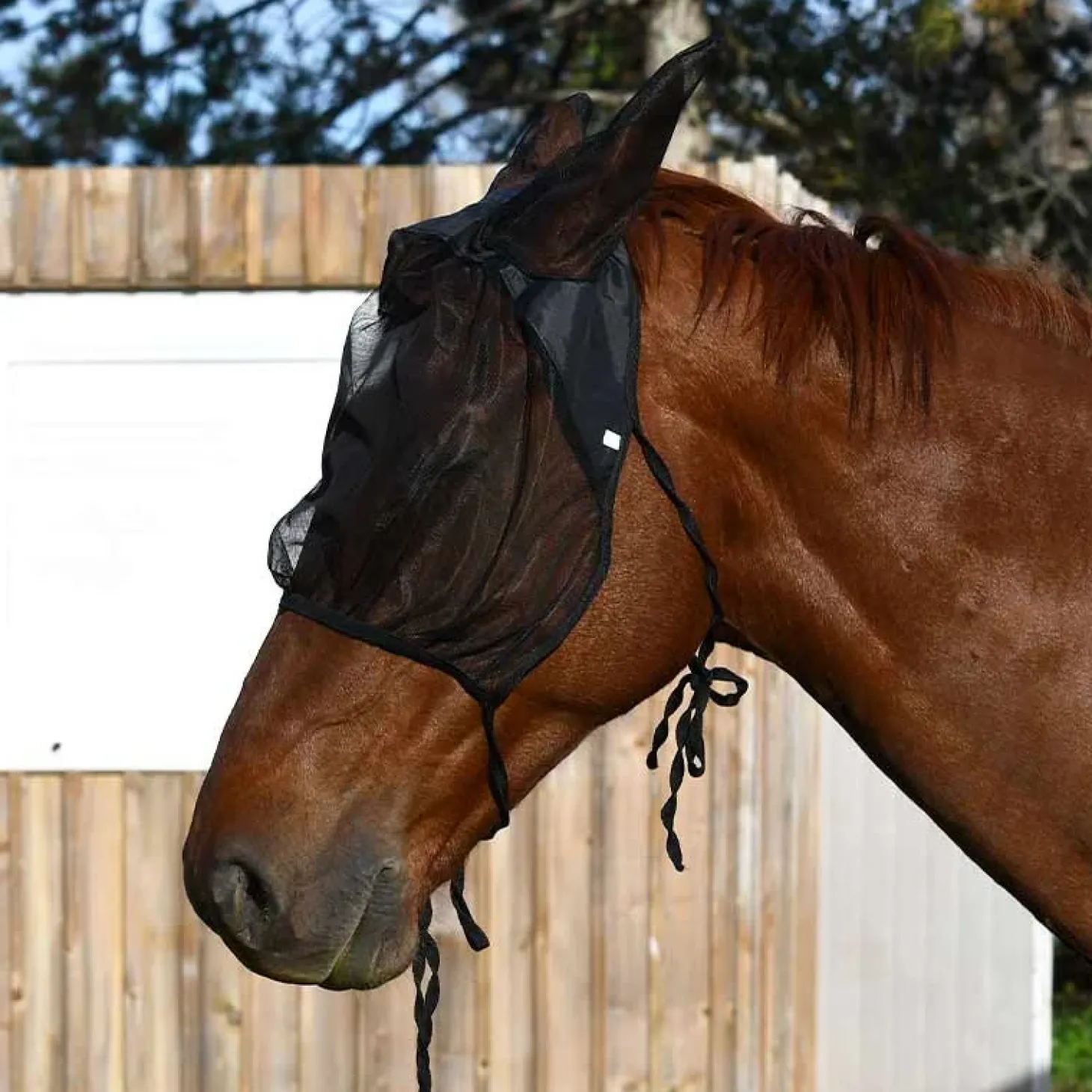 cheval-energy-masque-de-box-an-xFKZsNEu-0.webp Discount Cheval Energy - Les Equipements Cheval Energy Masque De Box Anti-Mouches