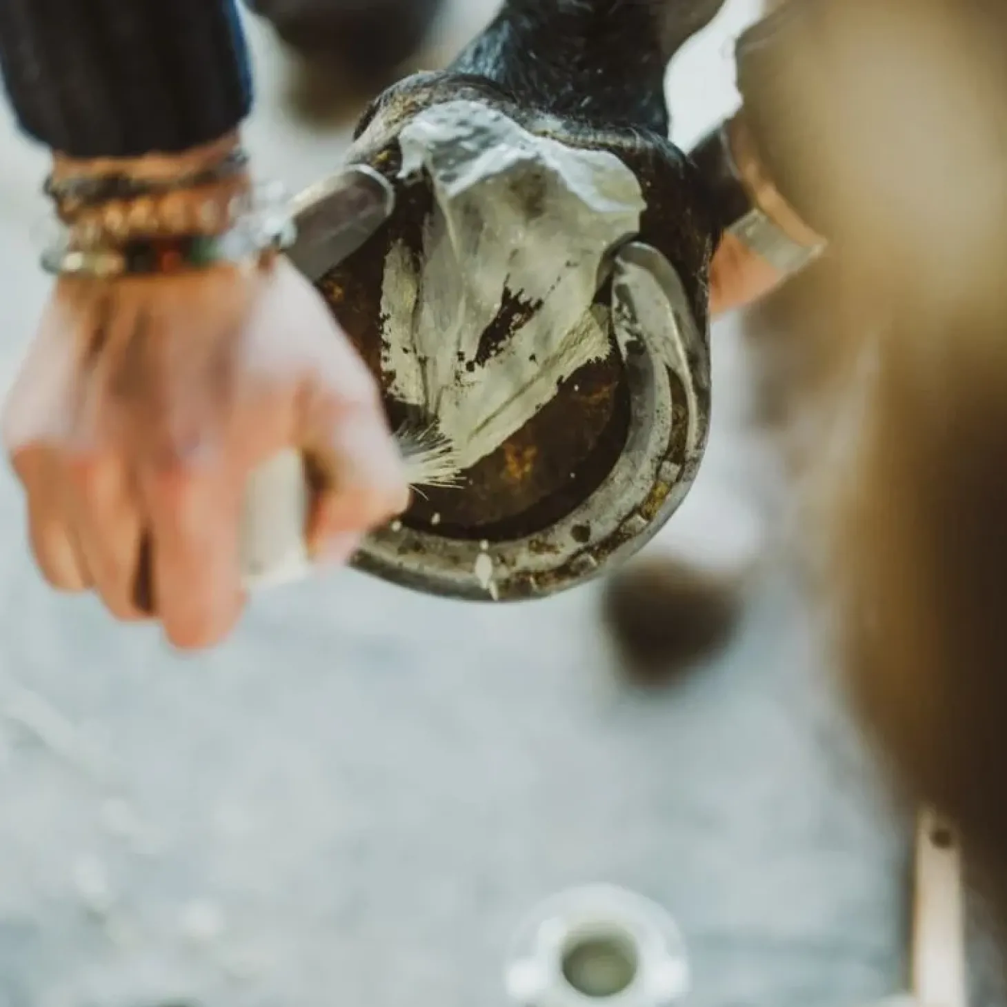 cura-naturale-argile-assainiss-JYVxoqxK-1.webp Hot Cura Naturale Argile Assainissante Sabots