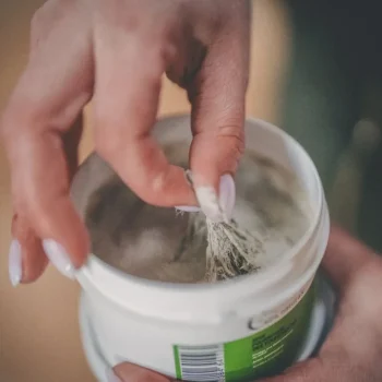 Sale Cura Naturale Argile Fourchettes Abîmées