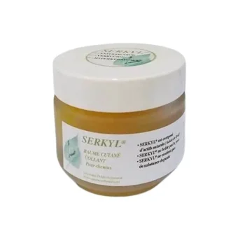 New DRJ Developpement Serkyl