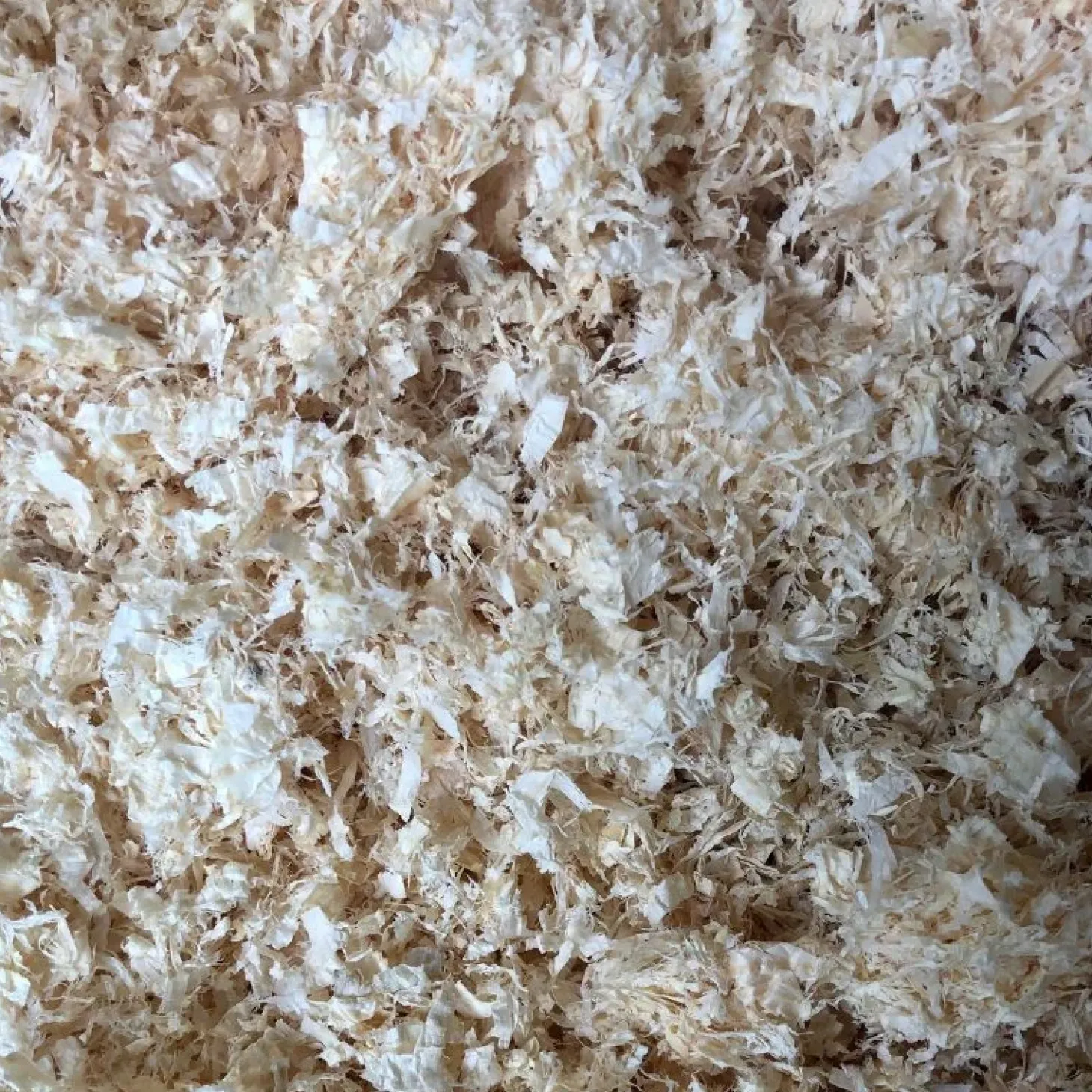 ecolit-copolit-copeaux-cheval-wpTqcjSG-0.webp Outlet Ecolit Copolit+ Copeaux Cheval