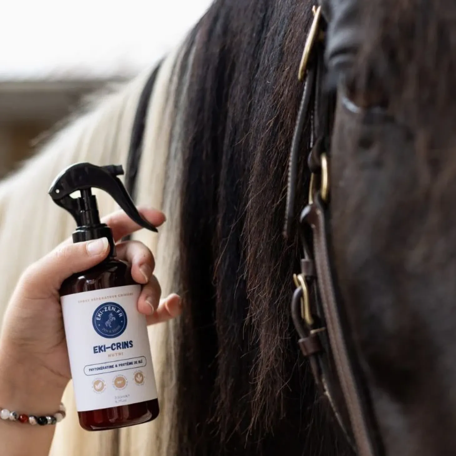 eki-zen-soin-crinire-UmAIaAME-1.webp Fashion Eki-Zen Soin Crinière