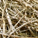 Fashion Ecolit Foin Enrubanné Chevaux Fourrage Fraicheur