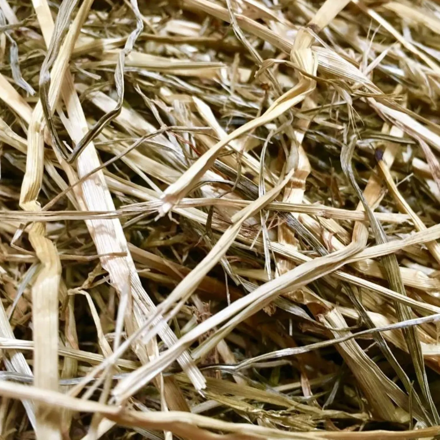 foin-enrubann-chevaux-ecolit-f-xukJJDEL-0.webp Fashion Ecolit Foin Enrubanné Chevaux Fourrage Fraicheur