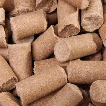 Best Speed Friandise Cheval Delicious Ies Banane