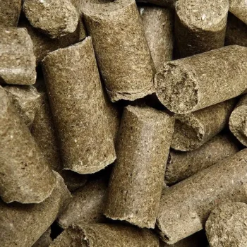 Sale Speed Friandise Cheval Delicious Ies Pomme