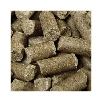 Online Speed Friandise Cheval Delicious Ies Eucalyptus