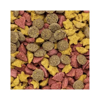 Online Speed Friandise Cheval Mélange Fruité