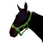 Discount Gamme Du Marechal Gamme Du Maréchal Licol En Biothane - Vert