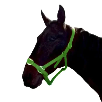 Discount Gamme Du Marechal Gamme Du Maréchal Licol En Biothane - Vert