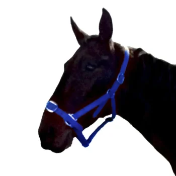 Clearance Gamme Du Marechal Gamme Du Maréchal Licol En Biothane - Bleu Roi