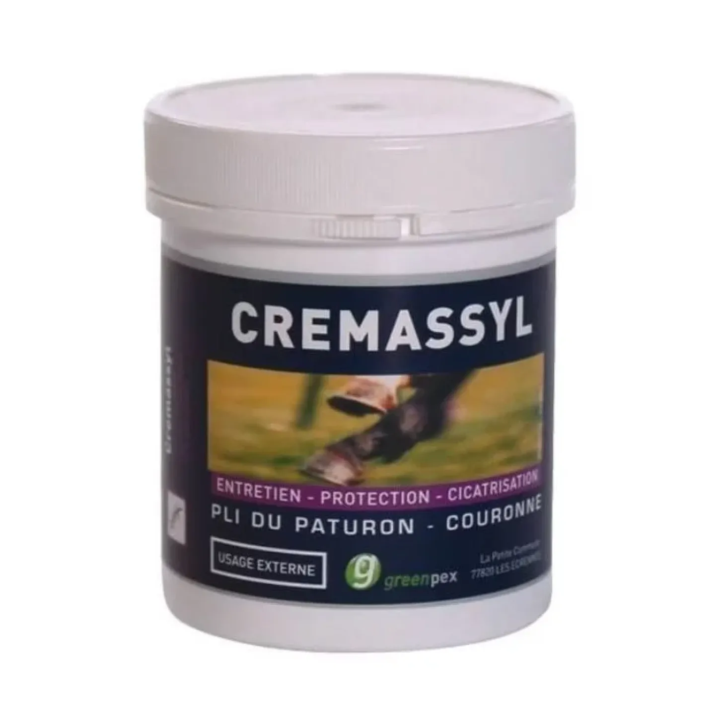 greenpex-cremassyl-crotes-chev-dHdqfmGv-0.webp Best Greenpex Cremassyl Croûtes Cheval