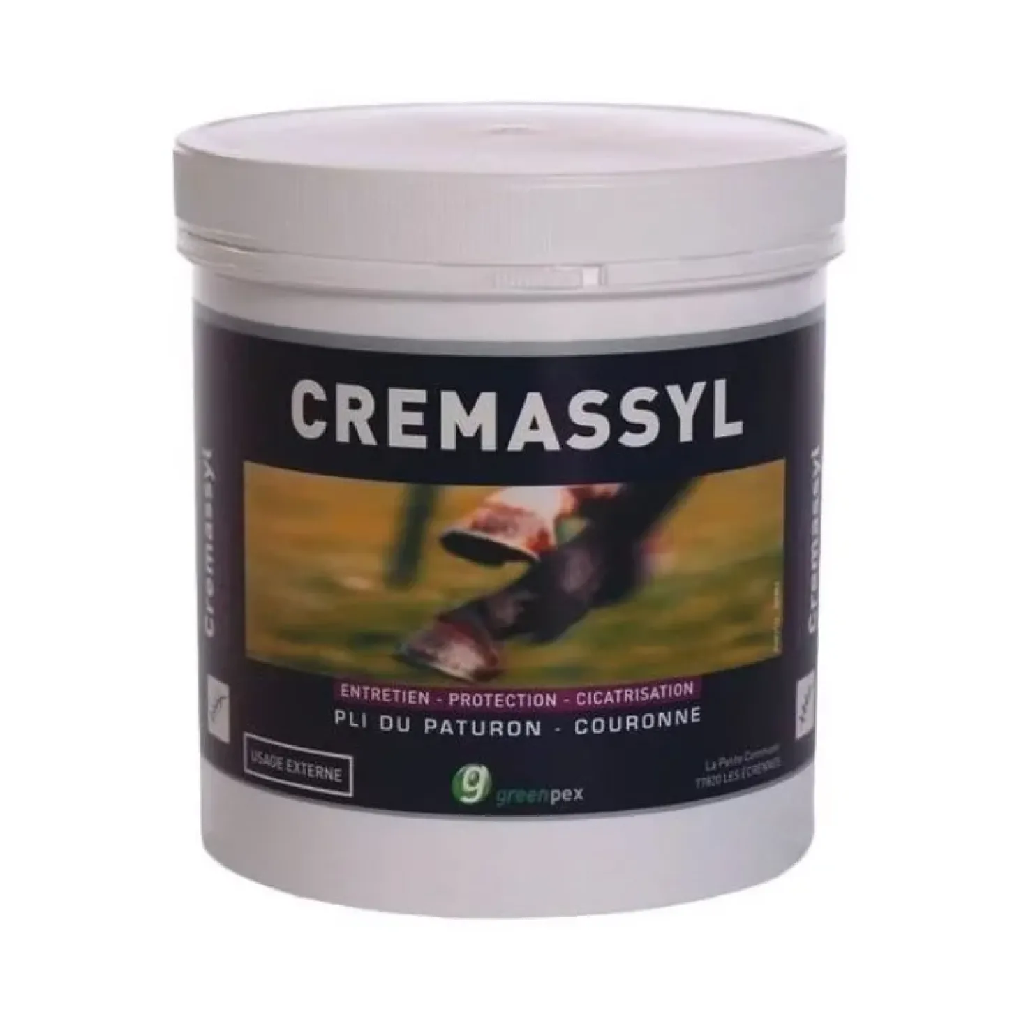 greenpex-cremassyl-crotes-chev-dHdqfmGv-1.webp Best Greenpex Cremassyl Croûtes Cheval