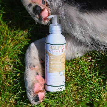 Online Happy Scoop - Balm Chien